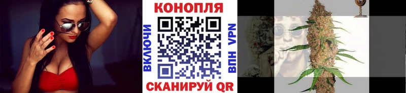Купить где  Светлоград  Бошки марихуана гибрид 